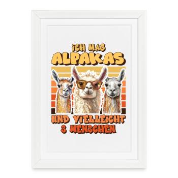 Alpaca Fan LIKES ALPACAS AND MAYBE 3 PEOPLE - Framed poster (27 × 37 cm) - white - Front