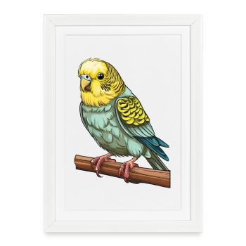 PERRUCHE OISEAU - Affiche encadrée (27 × 37 cm) - blanc - Devant