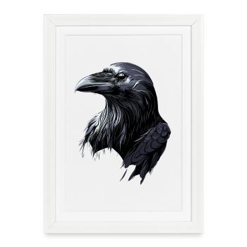 Raven, Crow, Bird, Raven Crow, Jackdaw, Black Raven - Framed poster (27 × 37 cm) - white - Front