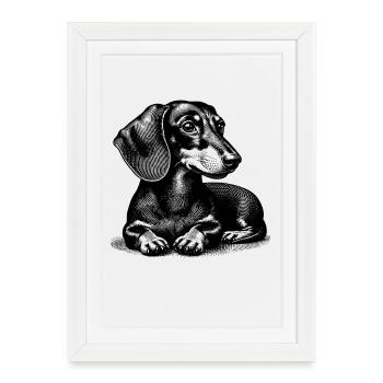Dachshund - Framed poster (27 × 37 cm) - white - Front
