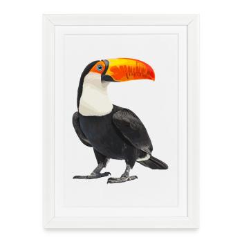 Toucans Toucan - Framed poster (27 × 37 cm) - white - Front