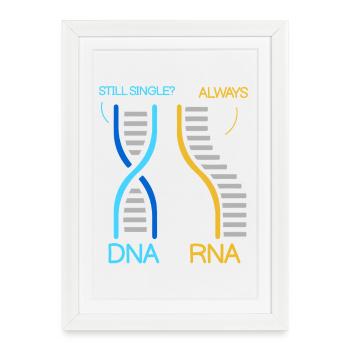 Professeur de biologie Biologiste Biologiste en microbiologie - Affiche encadrée (27 × 37 cm) - blanc - Devant