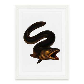 Anguille fascinante dans l’eau - Affiche encadrée (27 × 37 cm) - blanc - Devant