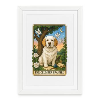 Clumber Spaniel - Framed poster (27 × 37 cm) - white - Front