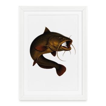 Poisson-chat plus vrai que nature pour les pêcheurs - Affiche encadrée (27 × 37 cm) - blanc - Devant