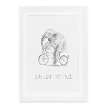 Brûler les graisses - pas de carburant Drôle d’éléphant de vélo - Affiche encadrée (27 × 37 cm) - blanc - Devant