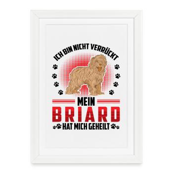 Briard me guérit Berger de Brie - Affiche encadrée (27 × 37 cm) - blanc - Devant