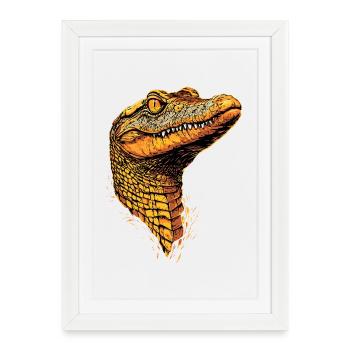 Caïman Crocodile Alligator Reptiles Crocodile Caïmans - Affiche encadrée (27 × 37 cm) - blanc - Devant