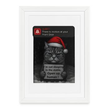 Chat Noël avec des chats drôles - Affiche encadrée (27 × 37 cm) - blanc - Devant