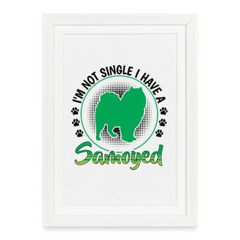 Samoyed Non Single Sled Dog - Framed poster (27 × 37 cm) - white - Front