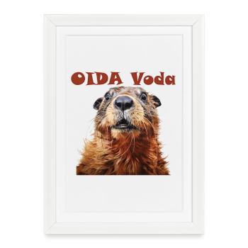 Oida Voda Création de marmotte - Affiche encadrée (27 × 37 cm) - blanc - Devant