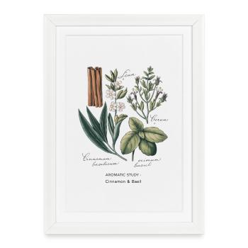 Art Botanique - Cannelle & Basilic - Affiche encadrée (27 × 37 cm) - blanc - Devant