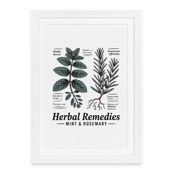 Menthe & Romarin - Plantes médicinales - Affiche encadrée (27 × 37 cm) - blanc - Devant