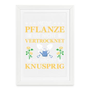 Jardinier Jardinage Jardinage Jardinage Jardinage - Affiche encadrée (27 × 37 cm) - blanc - Devant
