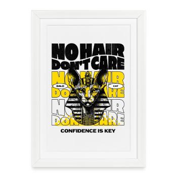 Chat Sphynx Sans Poils - Affiche encadrée (27 × 37 cm) - blanc - Devant