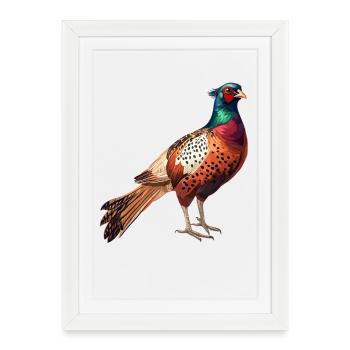 Faisans Faisan - Affiche encadrée (27 × 37 cm) - blanc - Devant
