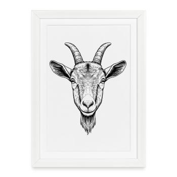 Chèvre - Affiche encadrée (27 × 37 cm) - blanc - Devant