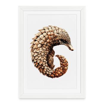 Pangolin Pangolin Pomme de pin Pangolins - Affiche encadrée (27 × 37 cm) - blanc - Devant