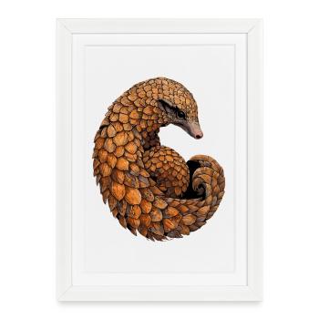 Pangolin Pangolin Pomme de pin Pangolins - Affiche encadrée (27 × 37 cm) - blanc - Devant