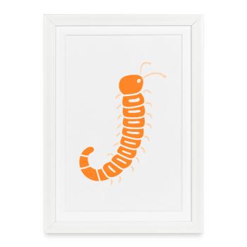 mille-pattes - Affiche encadrée (27 × 37 cm) - blanc - Devant