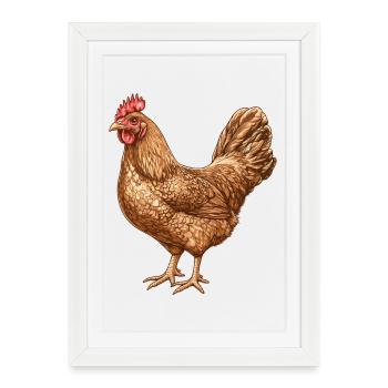 Illustration de poulet dans un motif de plumes chaudes - Affiche encadrée (27 × 37 cm) - blanc - Devant
