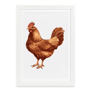 Illustration de poulet brun - Affiche encadrée (27 × 37 cm) - blanc - Devant