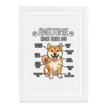 Shiba Inu: The True Anatomy - Framed poster (27 × 37 cm) - white - Front