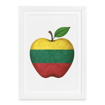 Lithuania - Framed poster (27 × 37 cm) - white - Front