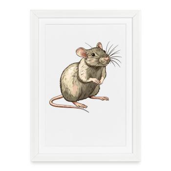 Rat Rat - Affiche encadrée (27 × 37 cm) - blanc - Devant
