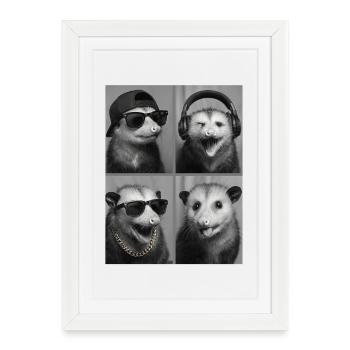 opossum - Affiche encadrée (27 × 37 cm) - blanc - Devant