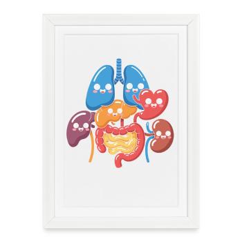 Dessin animé drôle d’organes digestifs - Affiche encadrée (27 × 37 cm) - blanc - Devant
