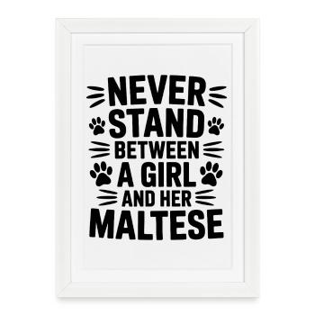 Dictons maltais Chiens Drôle de cadeau maltais - Affiche encadrée (27 × 37 cm) - blanc - Devant