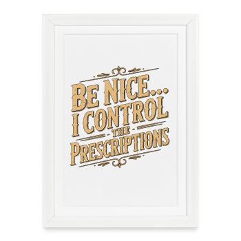 Nurse Practitioner Be Nice I Control Family Nurse - Framed poster (27 × 37 cm) - white - Front