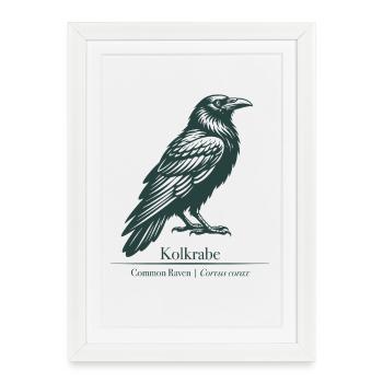 Raven Silhouette | Ornithology | Drawing - Framed poster (27 × 37 cm) - white - Front