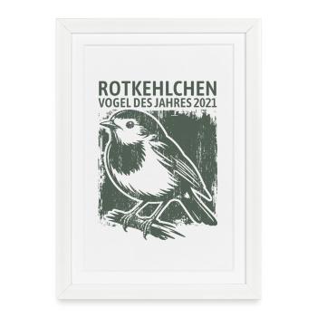 Robin Bird of the Year 2021 - Framed poster (27 × 37 cm) - white - Front