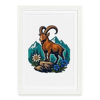 Bouquetin sur la prairie de montagne - Affiche encadrée (27 × 37 cm) - blanc - Devant