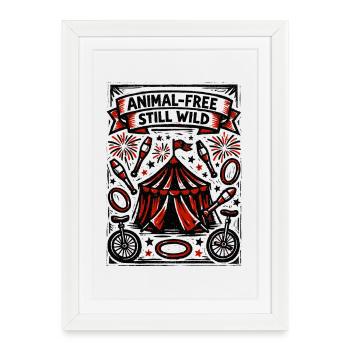 Sans animaux et toujours sauvages | Déclaration du cirque - Affiche encadrée (27 × 37 cm) - blanc - Devant