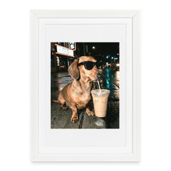 Teckel buvant un café glacé, photo drôle de teckel - Affiche encadrée (27 × 37 cm) - blanc - Devant