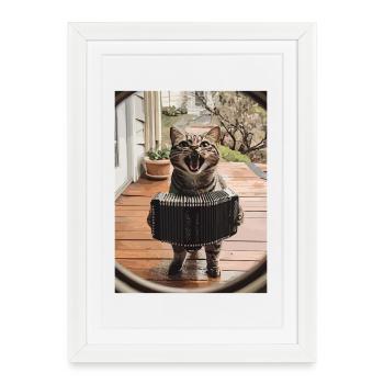 Accordéon chat sur le porche - Affiche encadrée (27 × 37 cm) - blanc - Devant
