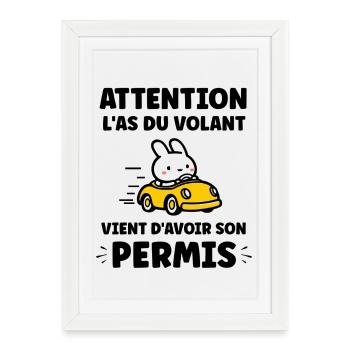 Humour j'ai mon permis de conduire - Affiche encadrée (27 × 37 cm) - blanc - Devant