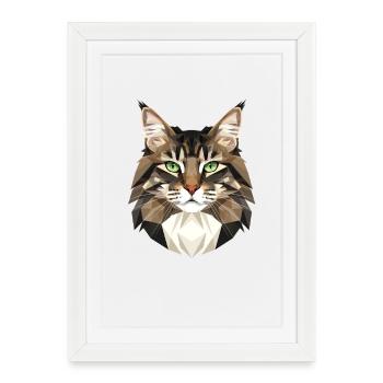 Chat de la forêt norvégienne Chat des forêts norvégiennes - Affiche encadrée (27 × 37 cm) - blanc - Devant