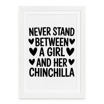 Drôles de chinchillas : cadeau drôle de chinchilla - Affiche encadrée (27 × 37 cm) - blanc - Devant