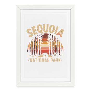 Forêt d’ours du coucher du soleil du parc national de Sequoia - Affiche encadrée (27 × 37 cm) - blanc - Devant