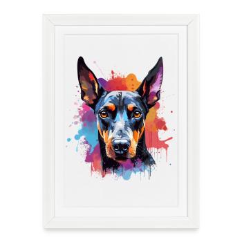 Portrait éclaboussé du Doberman vif - Affiche encadrée (27 × 37 cm) - blanc - Devant