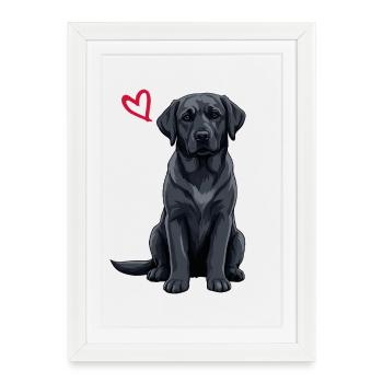 Labrador noir, Labrador noir - Affiche encadrée (27 × 37 cm) - blanc - Devant