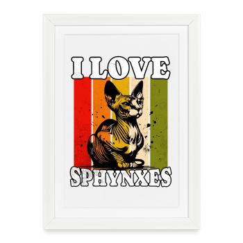 J’adore Sphynx Cat - Affiche encadrée (27 × 37 cm) - blanc - Devant