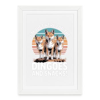 Dingo Animal Dog Sauvage Australien Design - Affiche encadrée (27 × 37 cm) - blanc - Devant