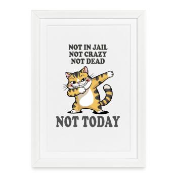 Pas aujourd’hui : Drôle de sarcasme de chat - Affiche encadrée (27 × 37 cm) - blanc - Devant