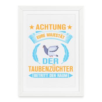 Taube Taubenzüchter Brieftaubensport Taubenverein - Gerahmtes Poster (27 × 37 cm) - Weiß - Vorne