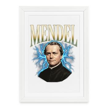 Gregor Mendel Donner - Affiche encadrée (27 × 37 cm) - blanc - Devant
